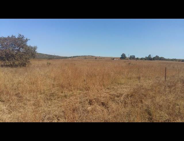 FARM FOR SALE IN LYDENBURG RURAL